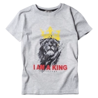 Παιδική μπλούζα New College για αγόρια King Γκρι αγορίστικες ελληνικές κοντομάνικες μπλούζες