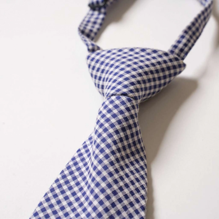 Παιδική γραβάτα για αγόρια Tie καρό μπλε αγορίστικες ργαβάτες με κλιπς για αγοράκια ετών Online 2
