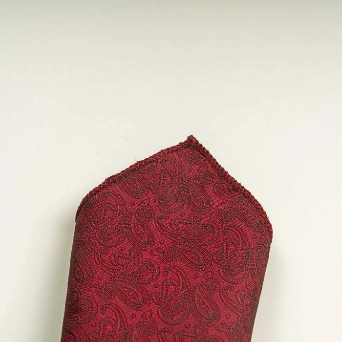 Παιδικό μαντίλι κοστουμιά γι αγόρια Etienne μπορντό μαντίλια για σακάκια με γραβάτα ασορτί ετών online (2)